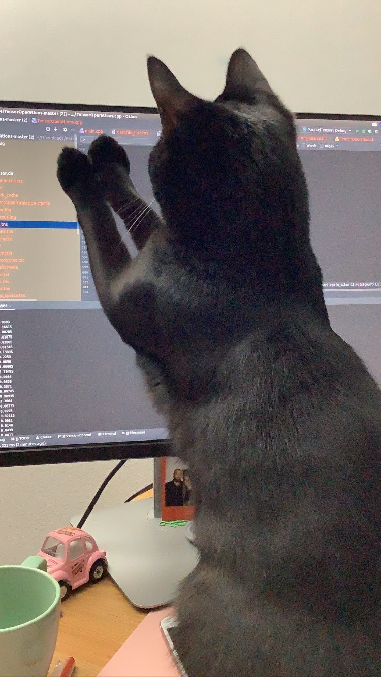 Shadow Bumin Debugging